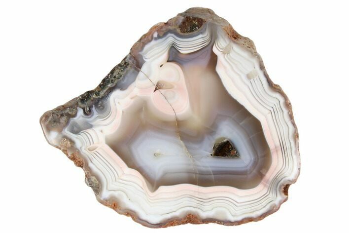 5.5" Polished Banded Agate Nodule Section - Morocco